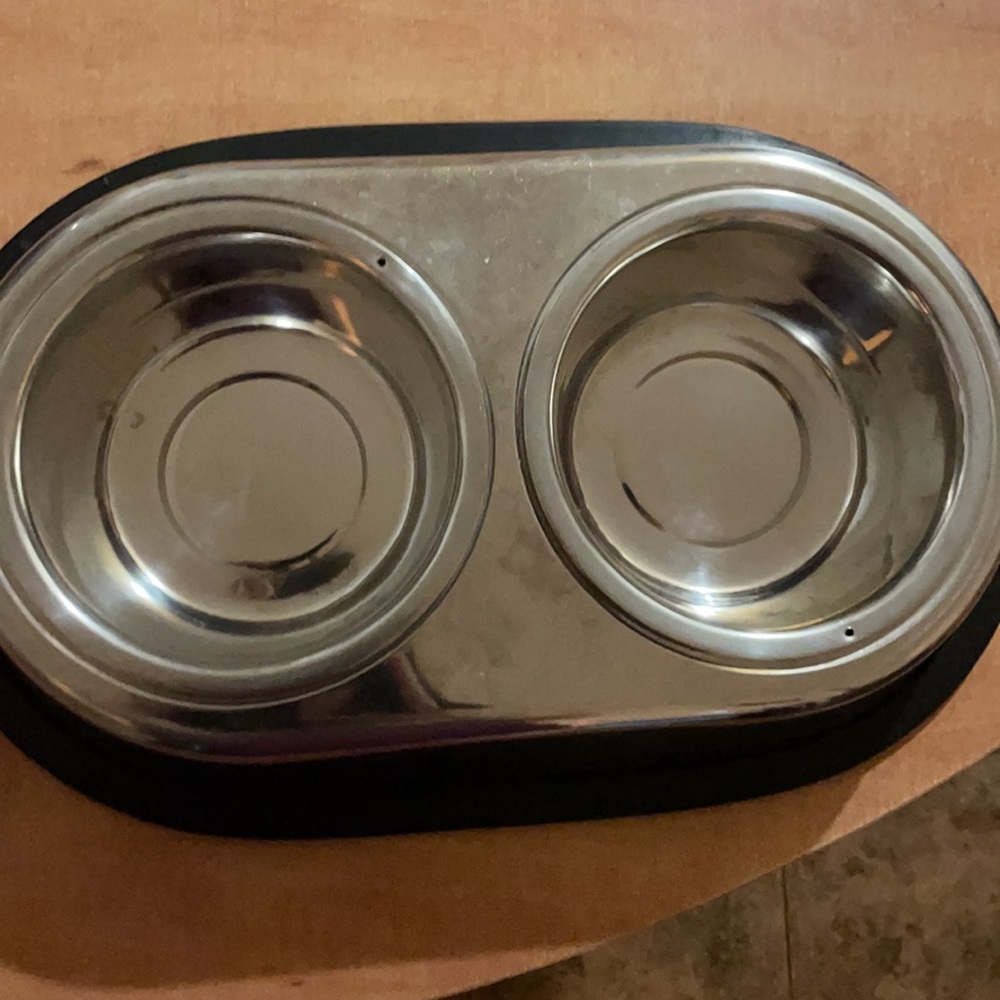Dog/cat feeder